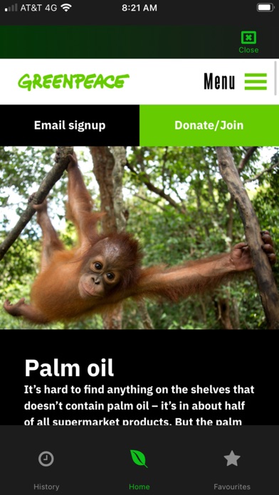 Green Lifestyle Screenshot