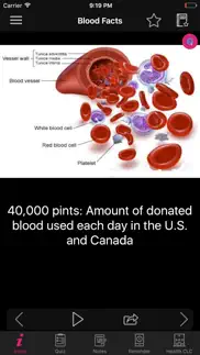 human anatomy blood facts 2000 iphone screenshot 2