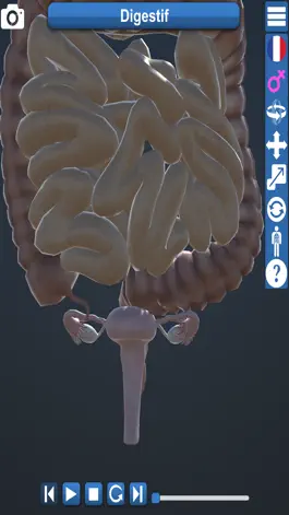 Game screenshot Educational Anatomy 3D hack