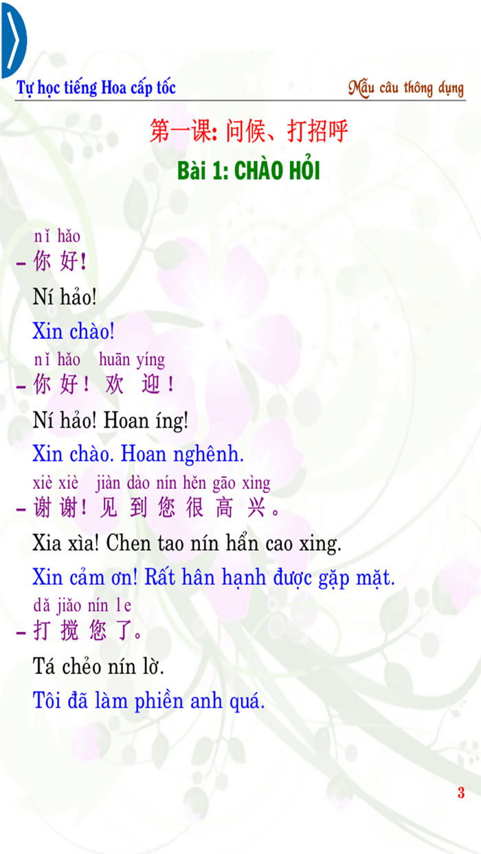 Chinese Common Sentences