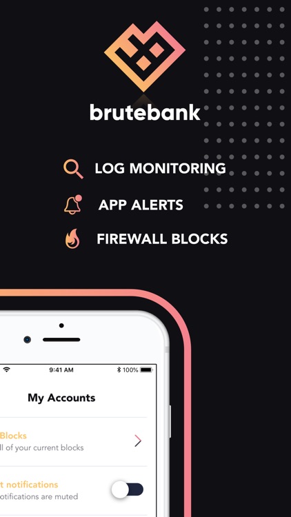 BruteBank screenshot-3