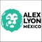 Alex Lyon & Son is the United States' leading heavy equipment auctioneer