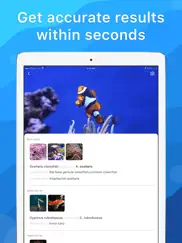 picture fish - fish identifier iPad Captures Décran 2
