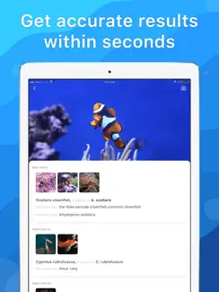 Picture Fish - Fish Identifier iPad image 2