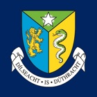 Meánscoil Iognaid Ris (Naas)