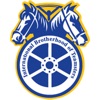 Teamsters 509 icon