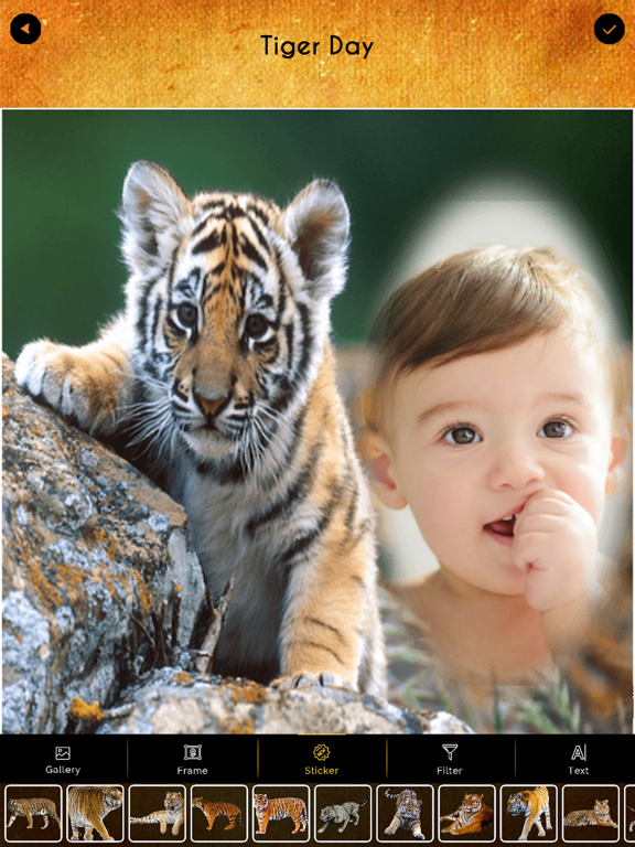 Screenshot #4 pour International Tiger Day Frames