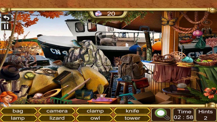 Hidden Objects : Owl Mystery