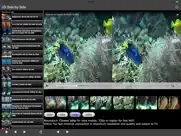 3d side by side ipad resimleri 4