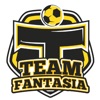 Team Fantasia