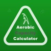 Icon Aerobic Capacity Calculator