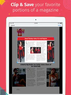 Lace n Lingerie Magazine iPad image 2