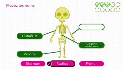 Screenshot #3 pour BodyQuest: Le corps humain