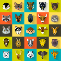 Animal Sounds 2021