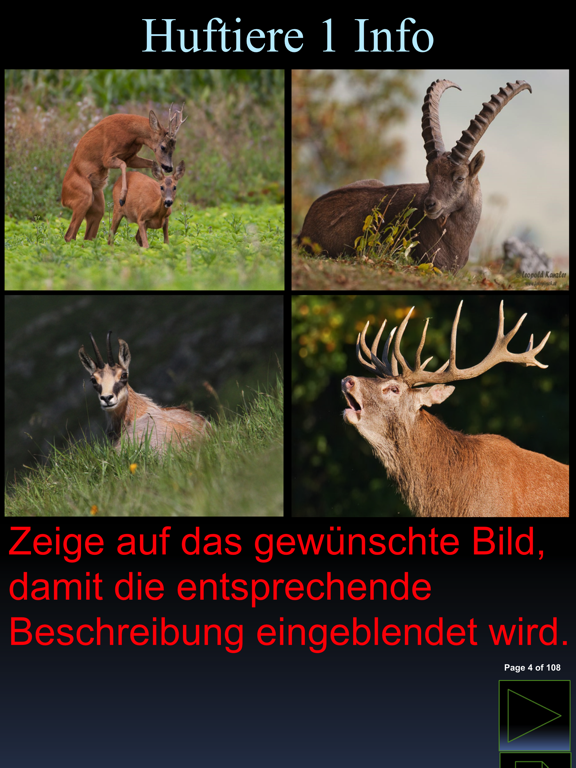 Screenshot #4 pour iWildtiere