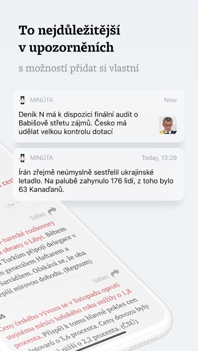 Minuta N screenshot 2