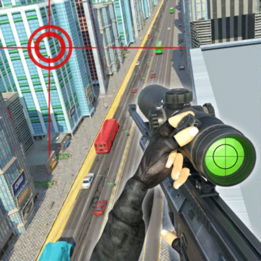 Highway Sniper Combat Strike