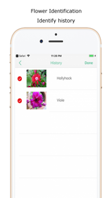 iplant - Plant Identification screenshot