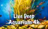 Live Deep Aquarium 4k:Deep Sea App Delete