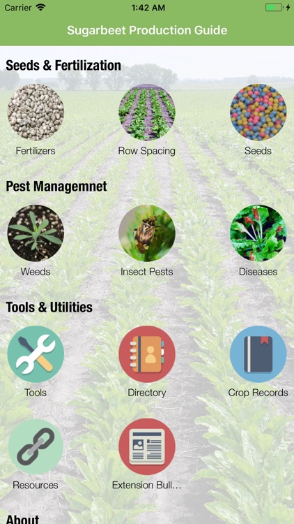 Sugarbeet Production Guide