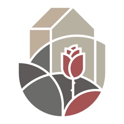 Своя Роза: Букеты из роз