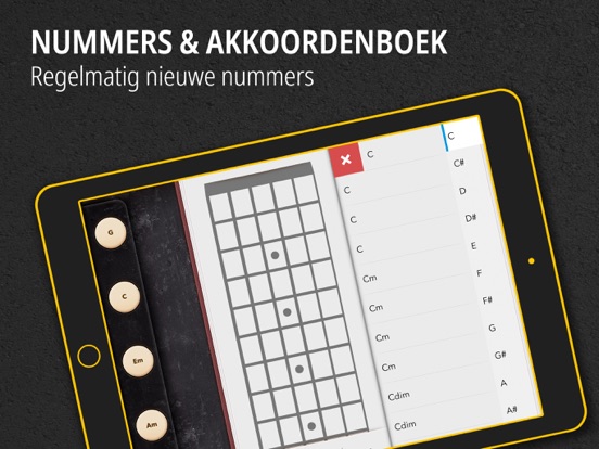 Gitaar: Muziek spelen, liedjes iPad app afbeelding 4