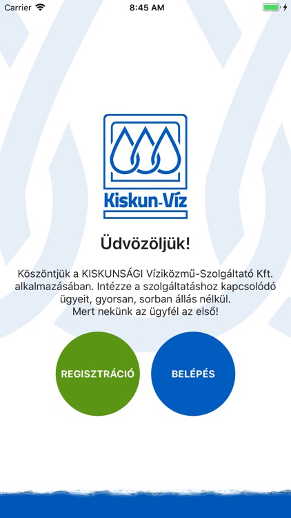 Kiskunvíz