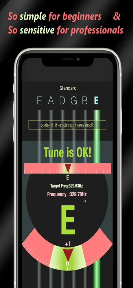 Guitar Tuner - Pro Accuracy