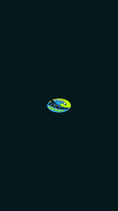 Tsunami Car Wash Screenshot