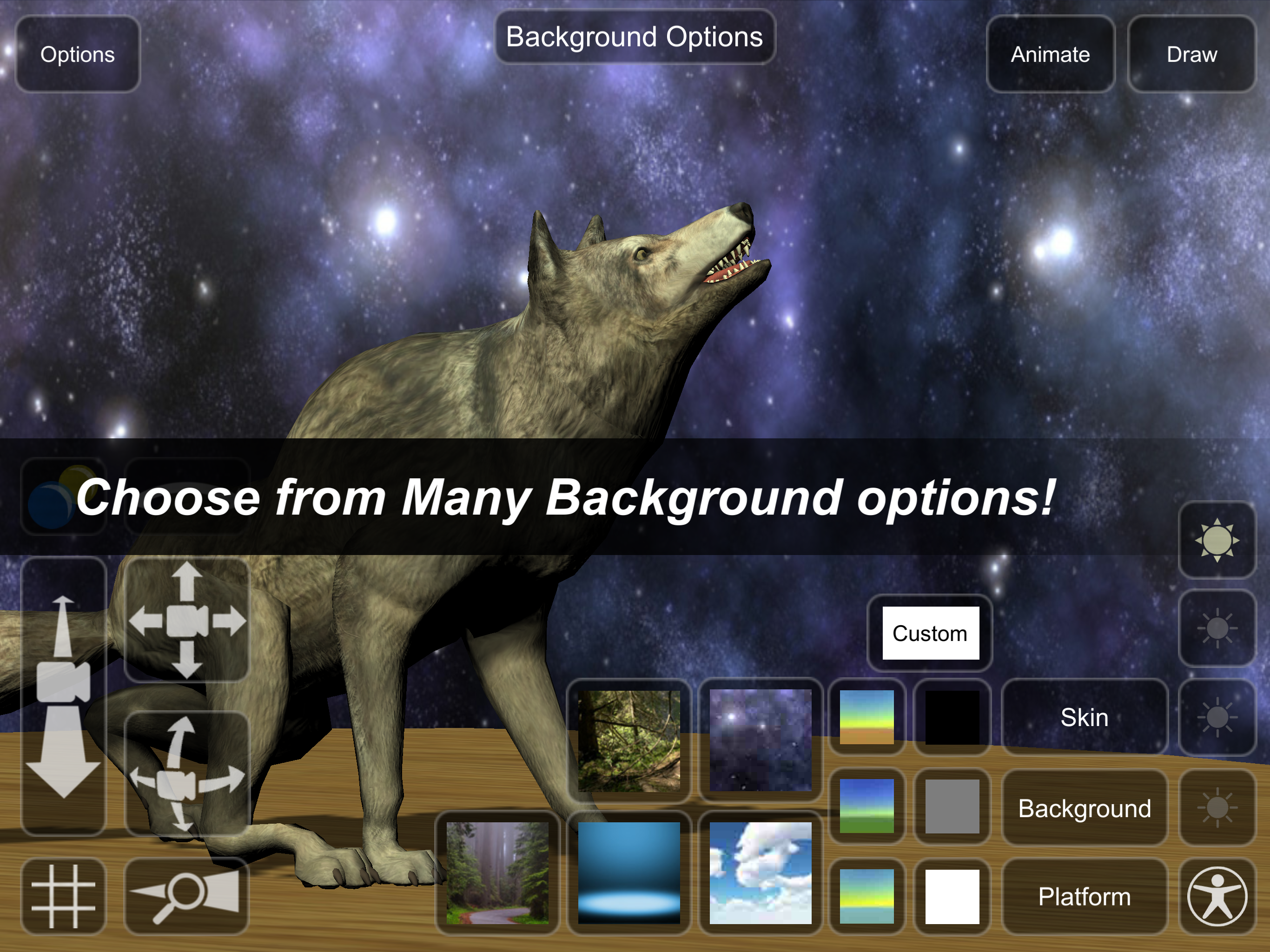Wolf Mannequin