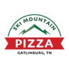 SKI MOUNTAIN PIZZA icon