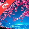 Relax Nature: Sakura - iPadアプリ