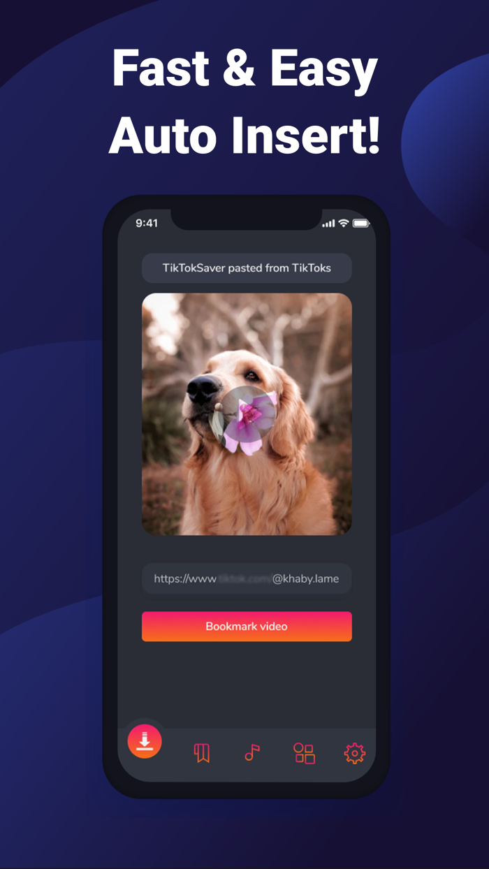 SaveTiks Video Manager