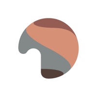 Wookmama Color Visualizer