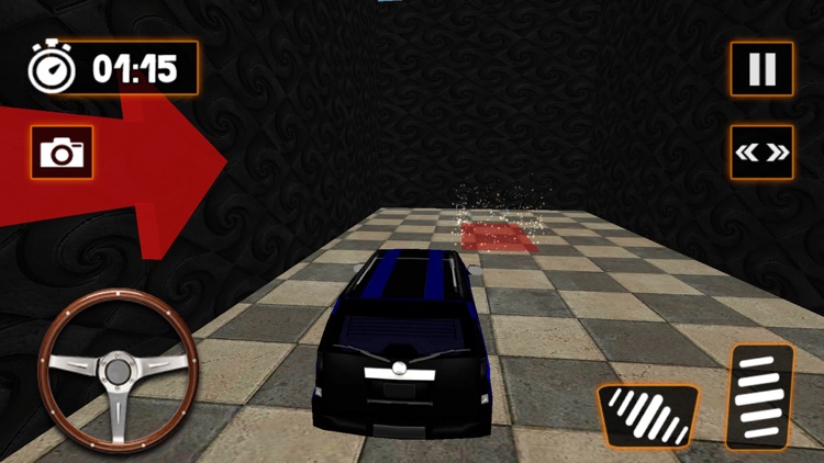 Real City Police Car Parking screenshot-6