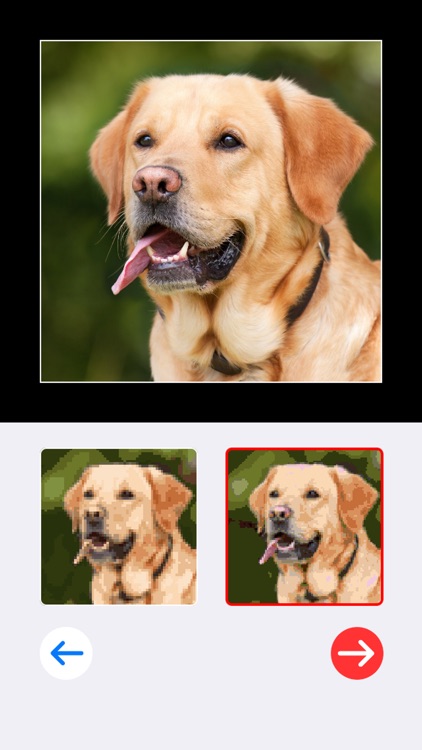 Pixel Zen Art: Color by Number screenshot-5