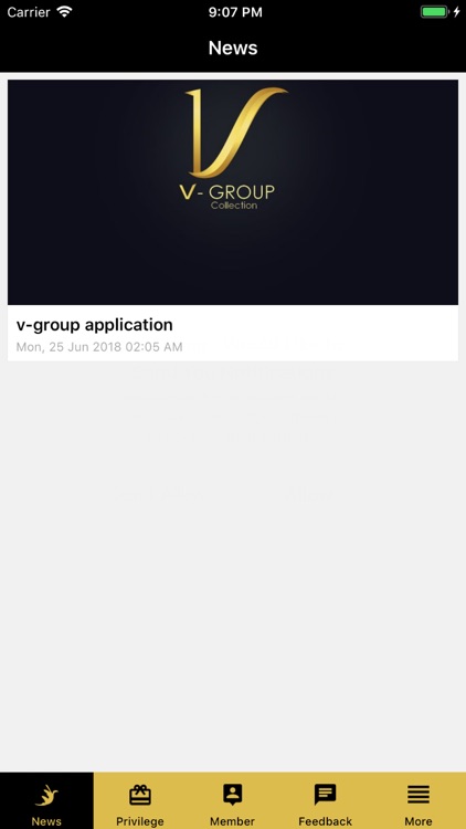 V-Group