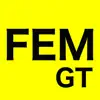 FEM GT problems & troubleshooting and solutions