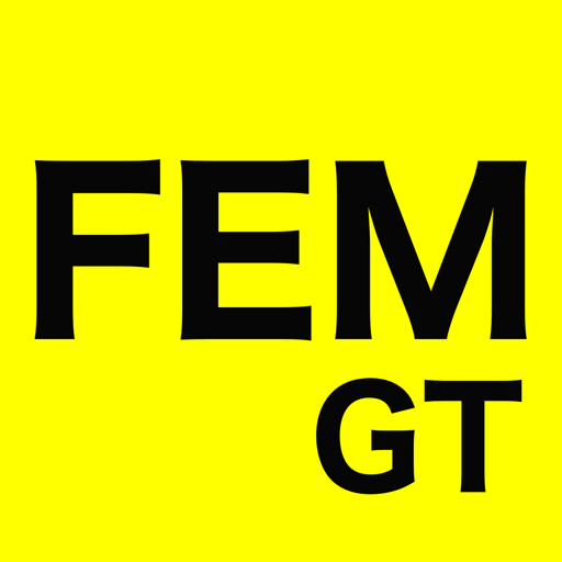 FEM GT App Problems