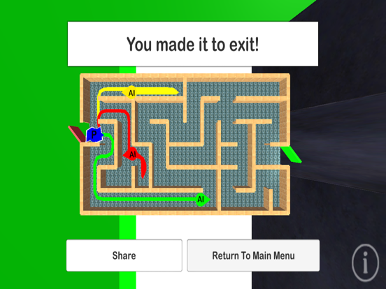 Maze Race Challenge iPad screenshot