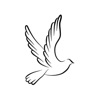 Ekobridge Messenger icon