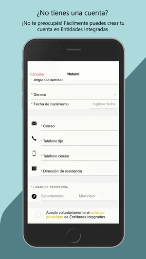 Impuestos Integrados screenshot 3