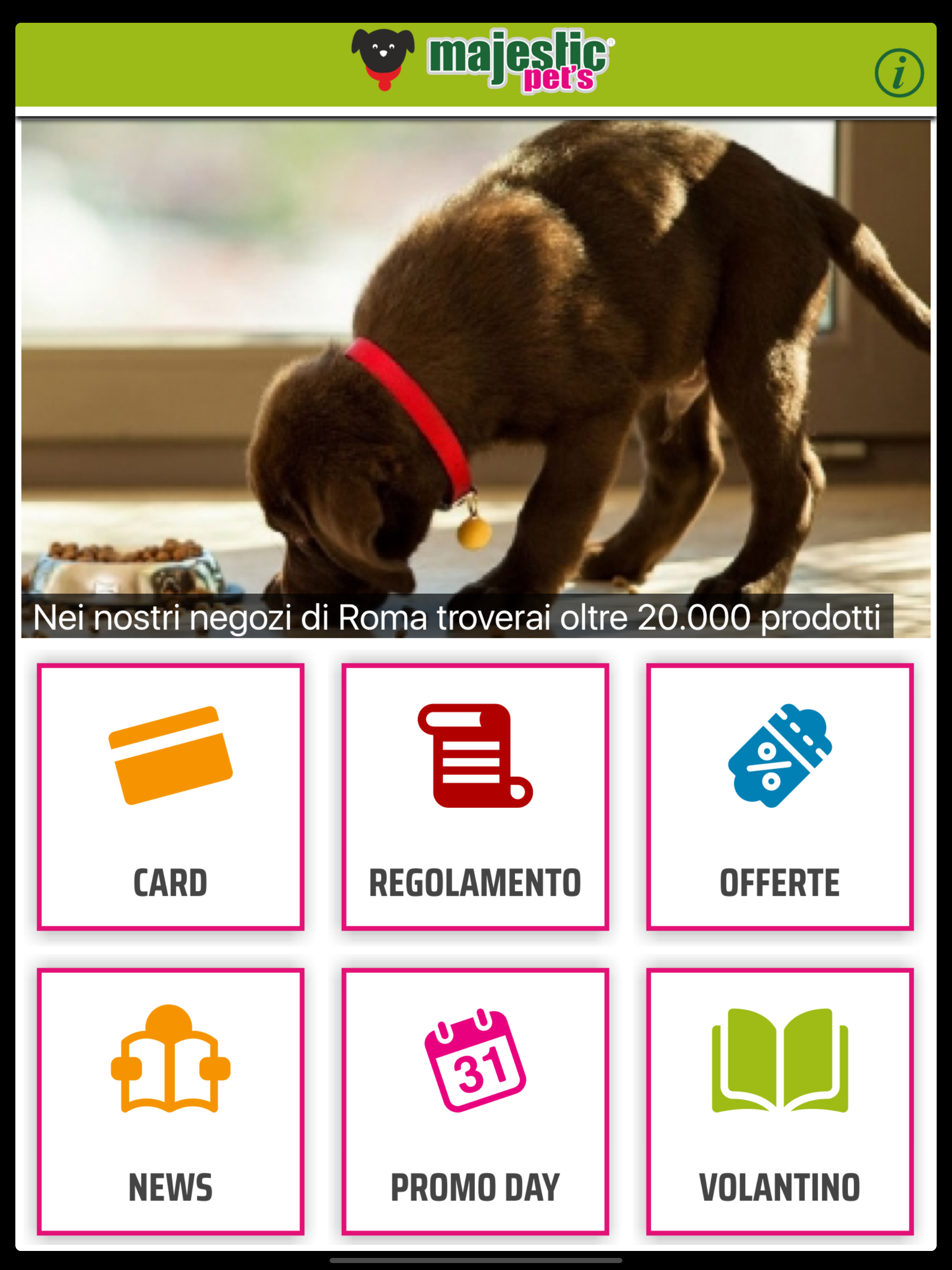 Majestic Pets screenshot 3