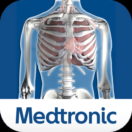 Thoracic Viewer