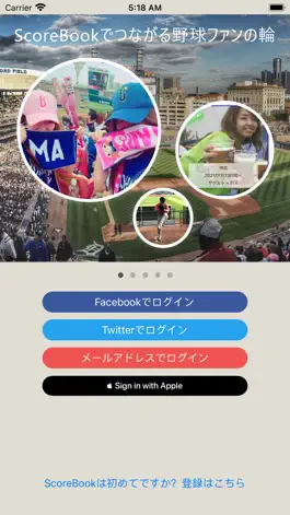 Game screenshot ScoreBook-baseball apk