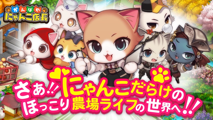 がんばれ！にゃんこ店長 お店経営ゲーム screenshot-9