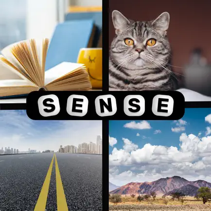4 pics 1 sense Cheats
