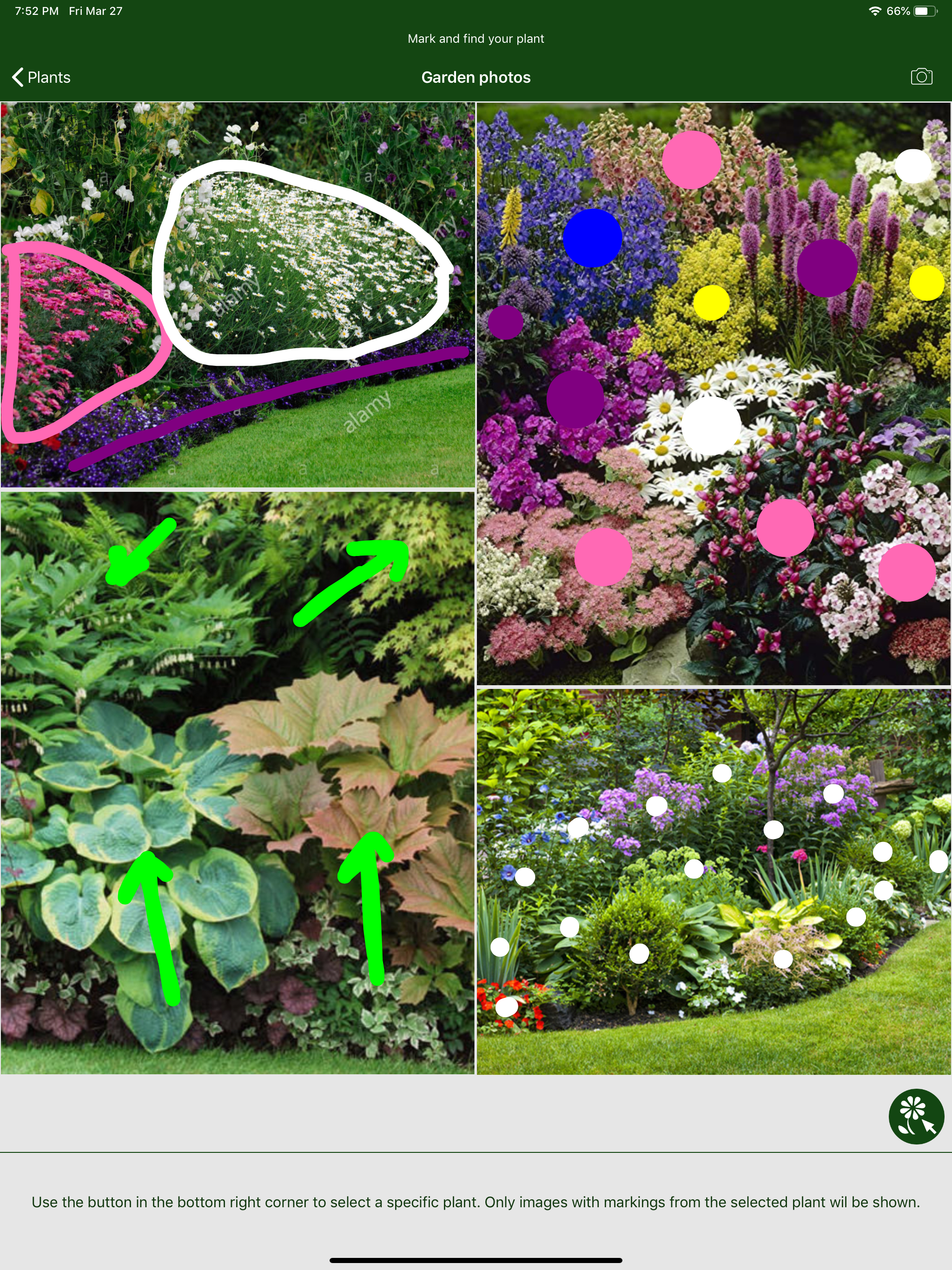 Hortus - Plants in your garden
