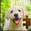 Jigsaw Puzzles Master icon