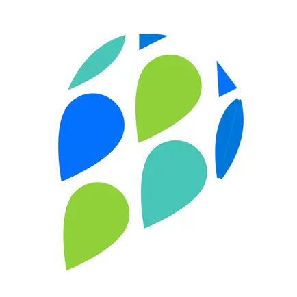 SacreServ Читы